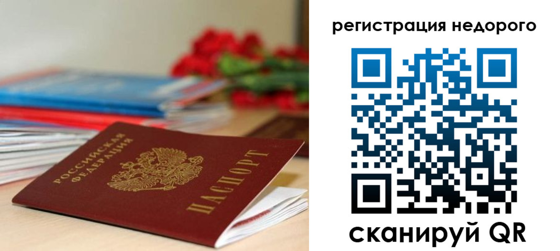 временная регистрация гарантия в Тайге